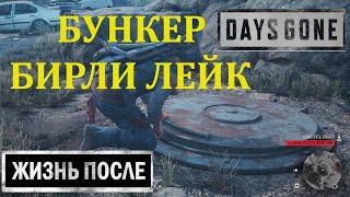 КАК НАЙТИ БУНКЕР В БИРЛИ ЛЕЙК  ПОИСК БУНКЕРОВ  DAYS GONE  ЖИЗНЬ ПОСЛЕ  #12