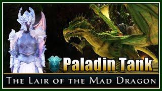 Paladin Tank Lair of the Mad Dragon (Master) - Neverwinter M29