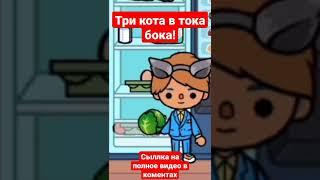 ТРИ КОТА В ТОКА БОКА!