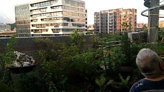 Garden in the city/Taipei City Taiwan/JING's TV Clavillas