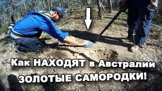 Как НАХОДЯТ в Австралии ЗОЛОТЫЕ САМОРОДКИ! В поисках сокровищ / In search of treasures