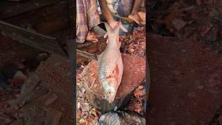 Wow!! Very Tasty Fastest Cutting Skills by Popular Mugel Fish Expert || #shorts #fishcutting_skills