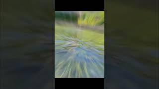 Kaleem Northern Trout Fish Farm Gilgit Baltistan Astore