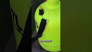 Этот раствор забыли. А зря — он спасает от фитофторы за 1 обработку