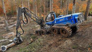  ROTTNE H21D cutting thick trees [4K]