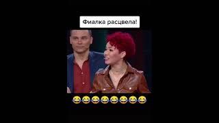 Фиалка расцвела  Игра