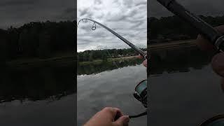 FISH FAILED #SHIMANO POISON ADRENA #fishing #wędkarstwo #wędkowanie #szczupak #ryby #fish