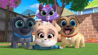 Puppy Dog Pals | Hindi | हिंदी | Full Episode | Disney Junior India