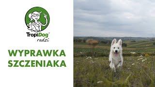 Tropidog radzi #11 - wyprawka szczeniaka