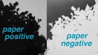 #DIY Analogue Paper Negatives Made Easy