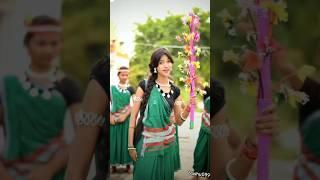 Raut Nacha - राऊत नाचा #youtubeshorts #chhattisgarh #shorts #cgsong #minivolgs #minivlog #rautnacha