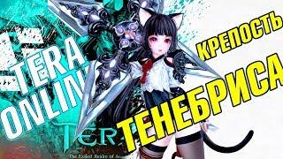 Крепость Тенебриса Нормал. Второй босс! Гайд! Tera Online