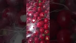 FRESH from Iran by Marchenko fruits and vegetables ФРЕШ из Ирана от Марченко фрукты и овощи