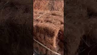 Mountain High Landscape Supply #georgia  #marietta #atlanta #fy #pinestraw #atlanta  #shorts #short