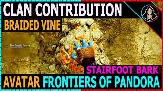 Braided Vine Clan Contribution - Avatar Frontiers of Pandora