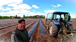 WE DID IT! Growing the best Vegetables in 2025
