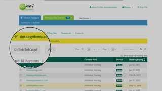 Doteasy.com: Linking Domains to Your Master Account