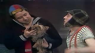 Chaves: O Cachorro Madruguinha prt2