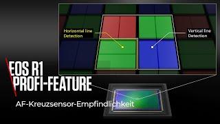 EOS R1 Profi-Feature: Kreuzsensorempfindlichkeit