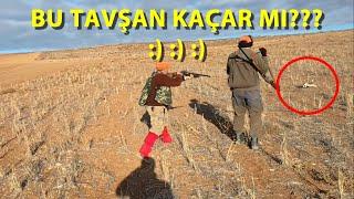 Tavşanları Yatarken Gördük. Harika Çekimler Güzel Vuruşlar. Tavşan Avı 2024. Hare Hunting 2024.