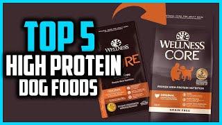 Top 5 Best High Protein Dog Foods in 2025