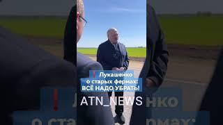 Лукашенко о старых фермах и зданиях: всё надо убрать! #лукашенко #беларусь #новости #фермы