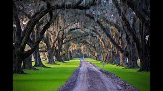 Tomotley Plantation: Historic ACE Basin Rice Plantation w/ World-Class Duck Hunting & Elegant Estate