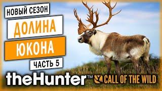 theHunter Call of the Wild #5  - Охота На Карибу - Сезон Охоты "С Нуля" (2020)