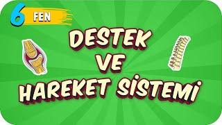 6. Sınıf Fen: Destek ve Hareket Sistemi  #2022