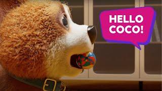 Double the Fun with Coco!