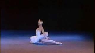 THE DYING SWAN (Plisetskaya, 1975)