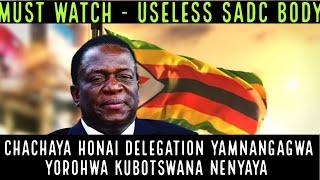 Chachaya Honai Delegation YaMnangagwa Yorohwa KuBotswana nenyaya yekuRigger - Hazvina Kumira mushe