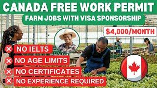 FREE WORK PERMIT, FREE VISA (EASIEST WAY TO MOVE TO CANADA WITHOUT IELTS)