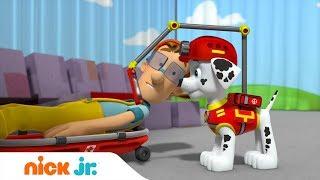 Щенячий патруль | Щенки спасают представление  | Nick Jr. Россия