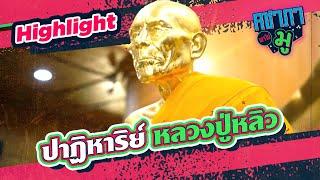 : ปาฏิหาริย์ หลวงปู่หลิวขี่เต่า I HIGHLIGHT คชาภาพาไปมู Ep 77