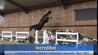 Incredible (jumping)
