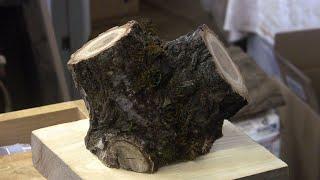 Acacia? Live Edge, Anyway! - Wood Turning
