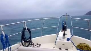 North Pacific 49' Pilothouse - Beam Sea - Stabilized