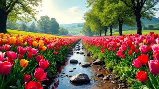 Nurturing Heart Music  Relax Your Nervous System and Bring Peace to the Soul