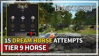 15 Tier 9 Dream Horse Attempts Episode 1 | Black Desert