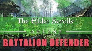 Elder Scrolls Online: Battalion Defender Set Build Guide