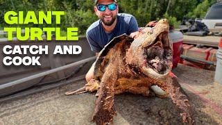 Alligator Snapping Turtle Catch and Cook in Louisiana