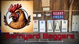 ACE Cornhole Boards Exposed: Blemish vs. Regular | Unbiased Review