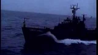This is Sea Shepherd Conservation Society