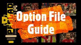 peslad Option File Tutorial