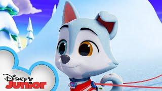Sled Pup ️  | T.O.T.S. | @disneyjr