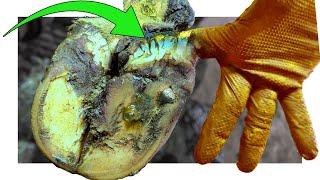 BUBBLES & a HUGE CRACK ... a STONE PIERCING the hoof - this was BAD