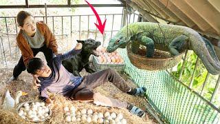 Smart DOG confronts KOMODO dragon - Terrifying encounter in the DUCK coop