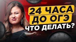 Что делать за 24 часа до ОГЭ по русскому языку? Как подготовиться к ОГЭ по русскому за СУТКИ?