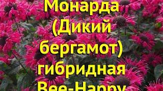 Монарда гибридная Би Хеппи. Краткий обзор, описание характеристик мonarda hybrida Bee-Happy